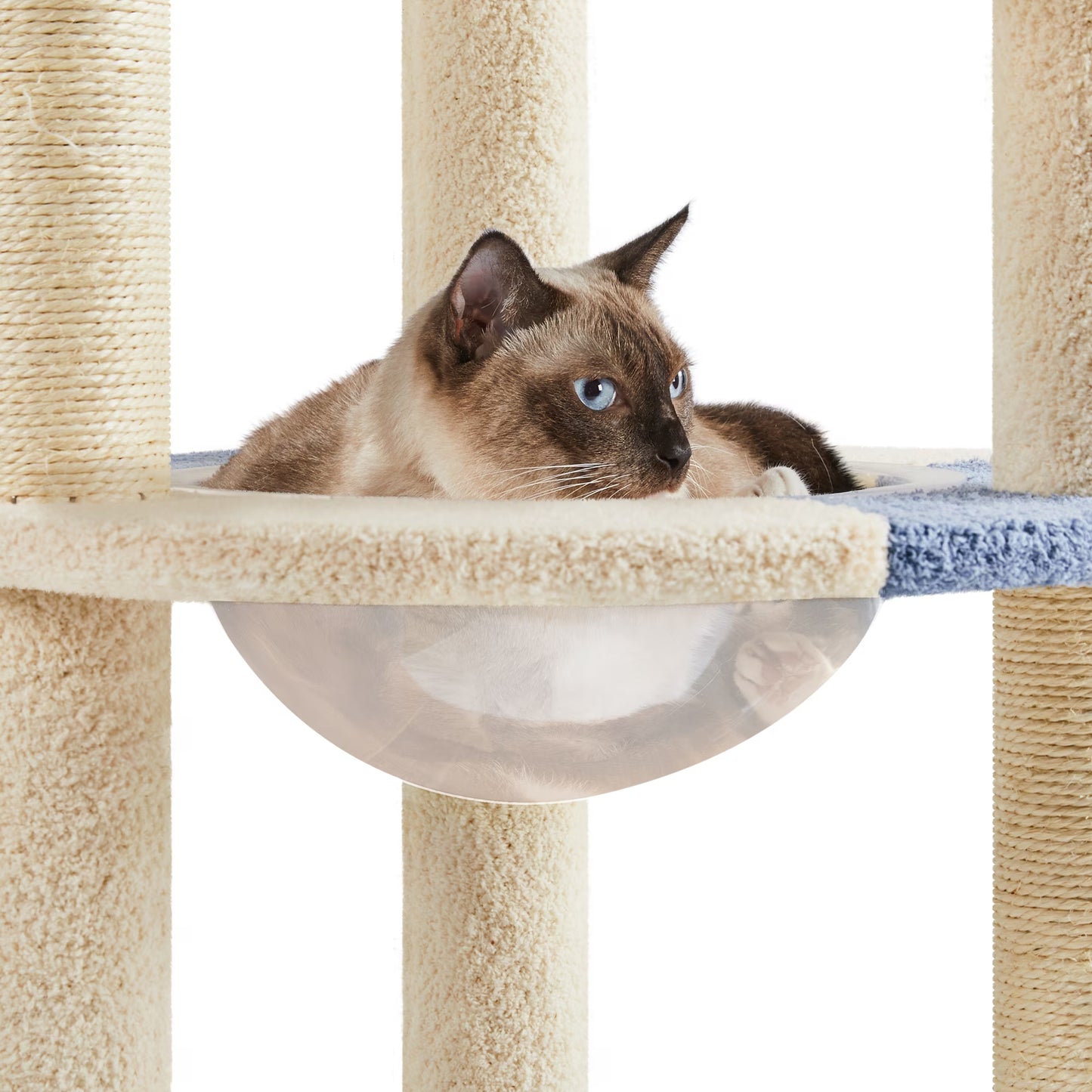 35.6″ Tall Ocean Cat Tree with Detachable Clear Bowl, Blue/Beige